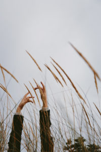Arms and hands among tall grass